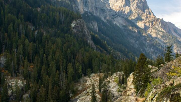 Logo for Bob Bozeman (40-50) R00M 201