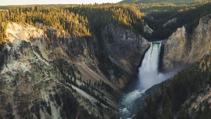 Logo for Dickens (50-70) Room 204