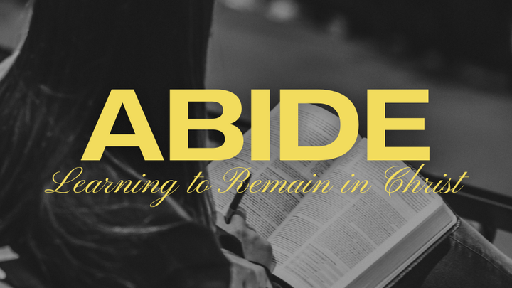 Logo for Seen Ministry - Abide: Learning to Remain in Christ