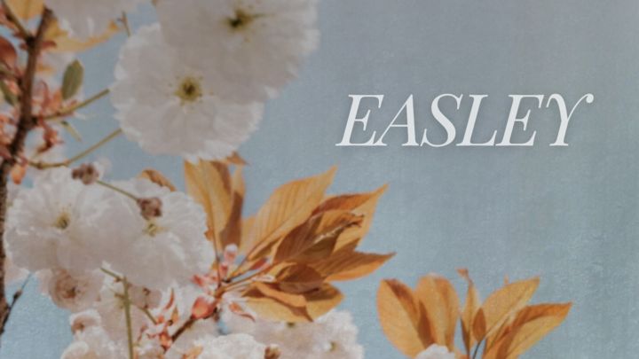 Logo for Women's | Easley