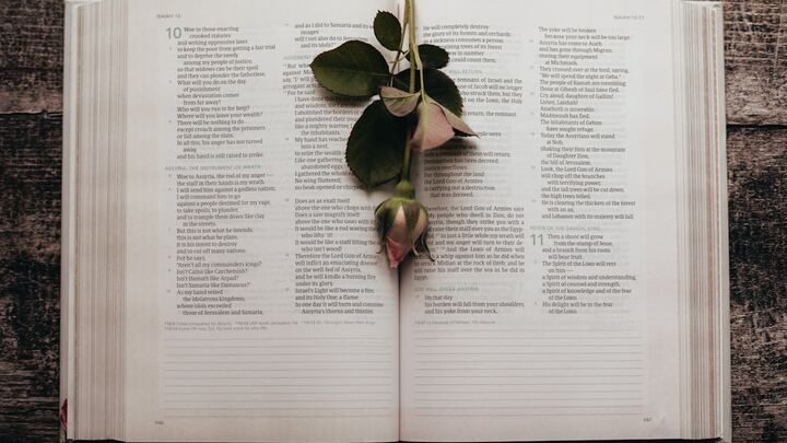 Logo for Duluth Bible Study