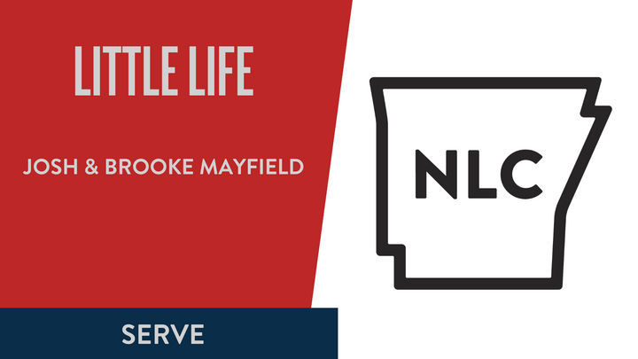 Logo for Little Life