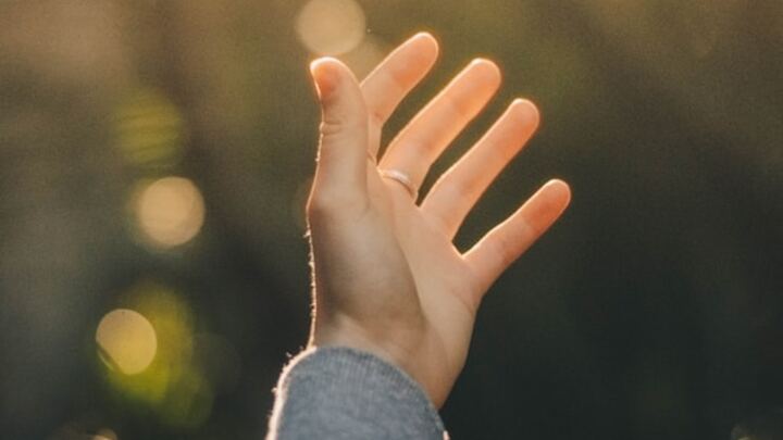 Logo for A Long Obedience in the Same Direction (Enfield)