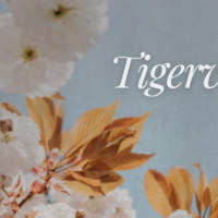 Logo for Women's | Tigerville