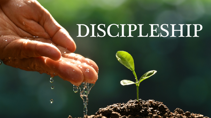 Sunday Discipleship - Spring 2026 - Mt Zion Church