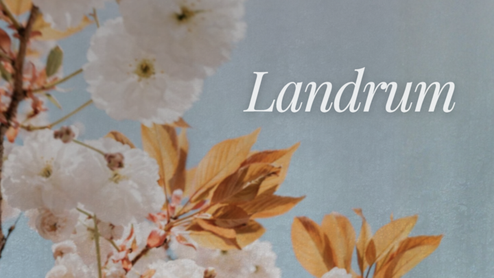 Logo for Women's | Landrum