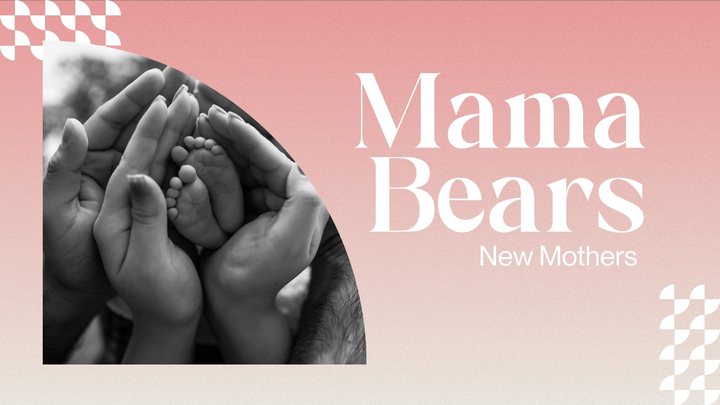 Logo for Mama Bears