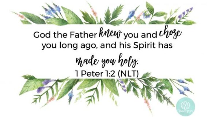 Logo for 1-2 Peter: Living Hope in a Hard World