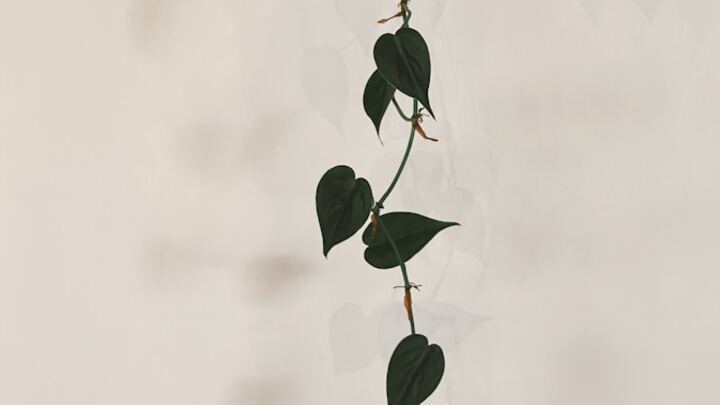 Abide Women's Group header image