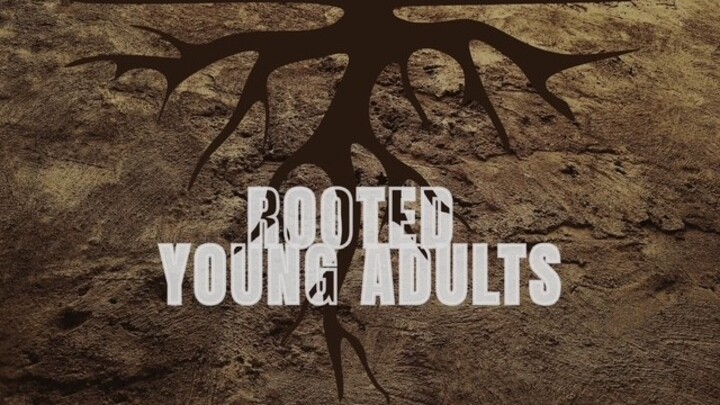 Logo for Co-Ed: Rooted YA