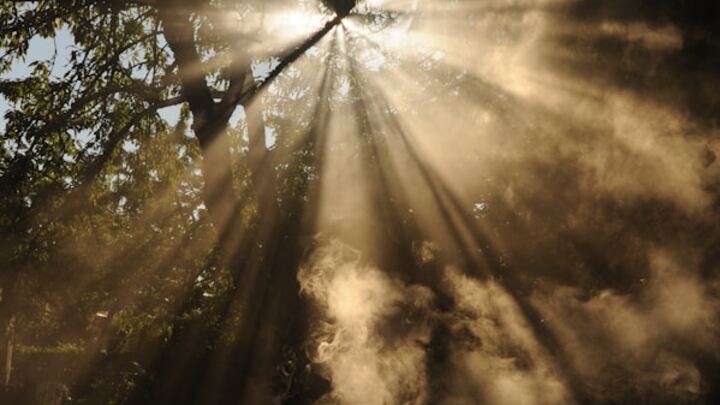 A New Chapter: Women's Widow Group header image