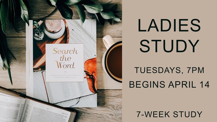 Logo for Ladies: Search the Word