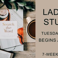 Logo for Ladies: Search the Word