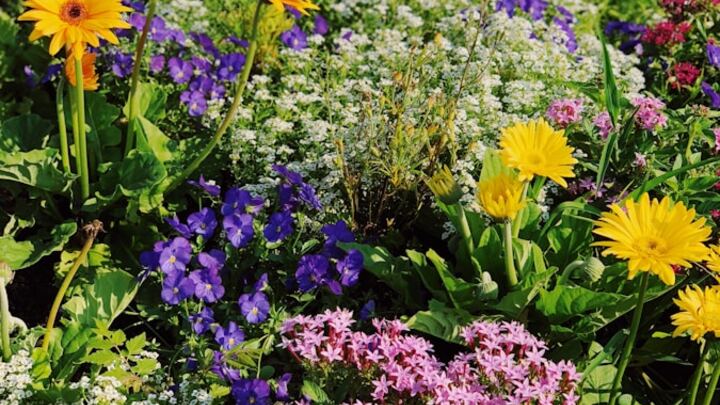 Bellevue Area Small Group header image