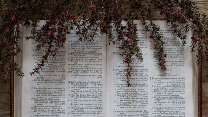 Logo for Day time Women's Bible Study
