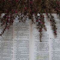 Logo for Day time Women's Bible Study