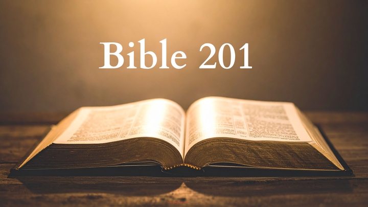 Logo for Bible 201