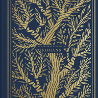 Logo for Romans Study Small Group