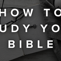 Logo for How to Study the Bible
