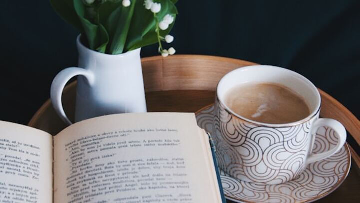 Logo for Early Bird Book Club