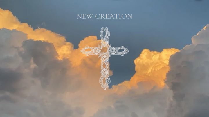 Logo for The New Creation Declaration