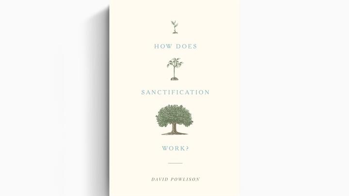 Logo for How Does Sanctification Work? - Grace Village Church (Mondays)