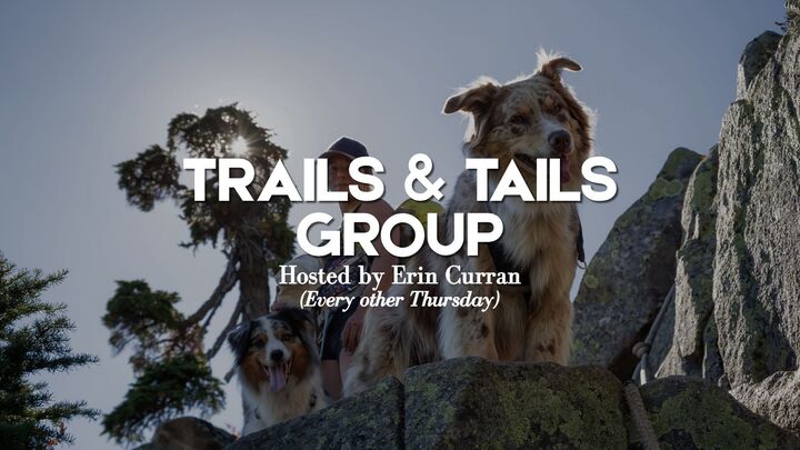 Logo for Trails & Tails