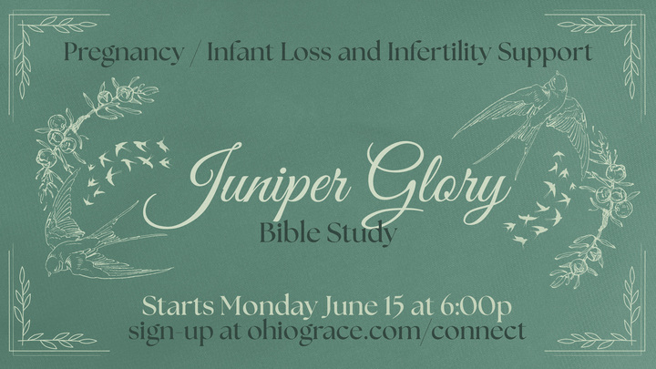 Logo for Tiffin | Juniper Glory | Aubrie Decker