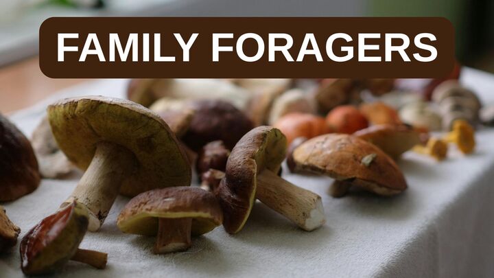 Logo for Family Foragers