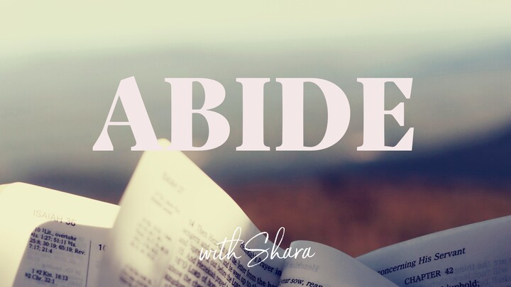 Logo for Abide