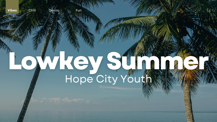 Logo for Lowkey Summer - Youth