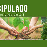 Logo for Discipulado Crecer parte 3