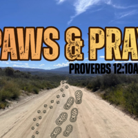 Logo for Paws & Pray