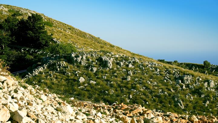 Logo for Bible Project: Sermon on the Mount | North