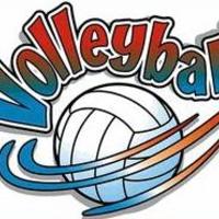 Logo for Volleyball