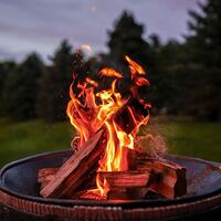 Logo for Men - Wild @ Heart Fires