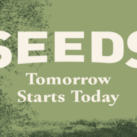 Logo for Seeds- Sunday Mixed (Summer 2026)