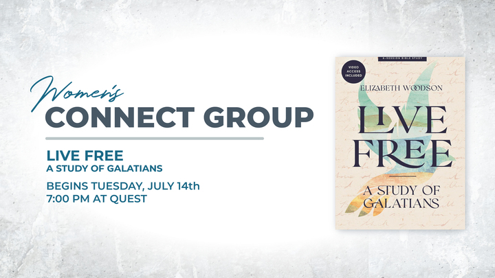 Logo for Women's Connect Group - LIVE FREE (Galatians)