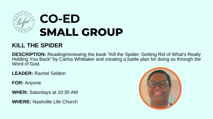 Logo for Kill The Spider
