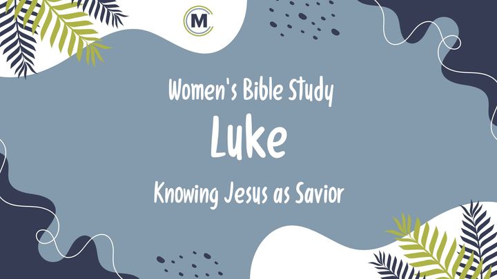 Logo for Women's Bible Study - Luke