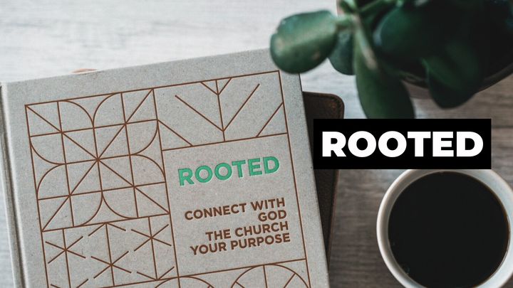 Rooted Small Group - Fall '26 Cycle