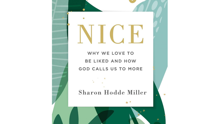 "Nice" Five Week Bible Study header image