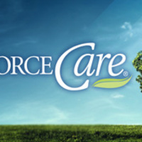 Divorce Care
