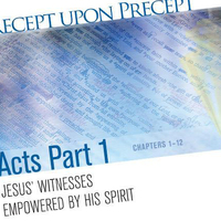 Women's Precepts Study: Acts Pt. 1 (Evening)