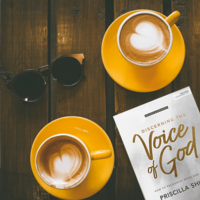 Discerning the Voice of God