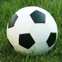 Coed Soccer