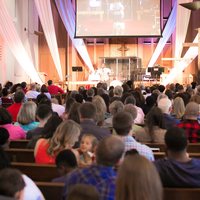 Deeper in the Word