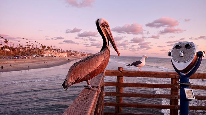 Logo for McDowell Community Group - Carlsbad