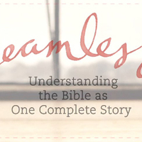 Wednesday AM Women's Bible Study - "Seamless"