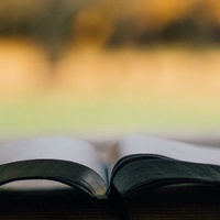 Daily Bible Reading Support Group